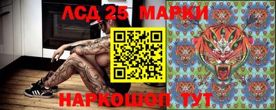 прущие грибы Баксан